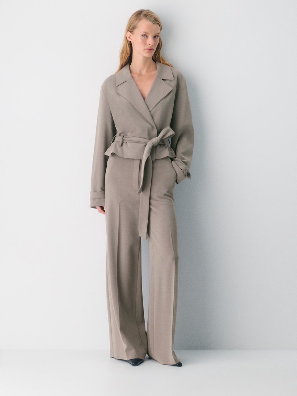 Aritzia Babaton Leeway Pant - Sway Crepe